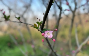 �L�мs�������`��̤���p��