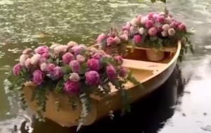 ����Ļ���~�����Ƶ�����