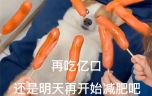 1��(g��)�������܎׺��]��Ч������Ո(q��ng)������Щ�p�ʷ�����