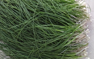 �ֵ��˳�Ұ�˵ĕr(sh��)��(ji��)���l(shu��)���J(r��n)���@��ɶ��