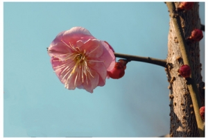 �ڻ�������Ҋ�㣬���Ǵ�������������