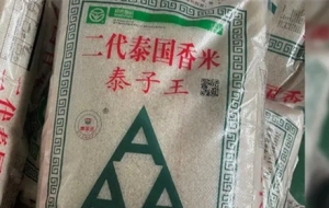 ��̩�����ס������㾫���������������l�ҳ԰���