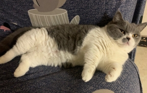 �����ӣ��@ôһ�εÁ�������