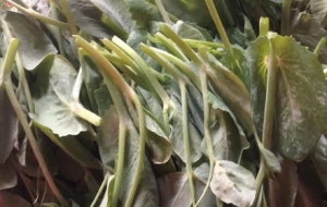 ������·�ǻؼҵ�·���@�����ҵ�ͯ��