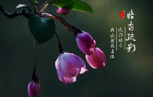 �������Ļ� �r��ʢ�_ ���G����