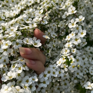 ����һ�ѻ� ���������ăxʽ��