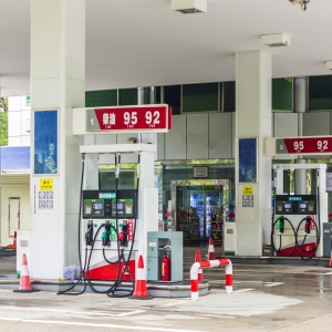 �{�����棡�̓r����