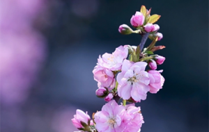 ÿһ�仨�_��������������������Ҋ