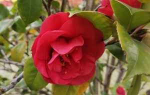 �S�ģ�ꖹ��^�m���pɽ�衢�N������