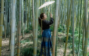 ����ʽ���ǧ�ｭɽ ֻ����G