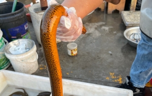 �ٺ٣������Ұ���S�X�治�e~