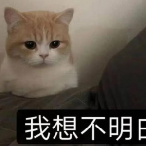 ��ʲô�F�ڱ��Ƴ������ɵĶ�����ǰ�Ќ����ɵĹ���