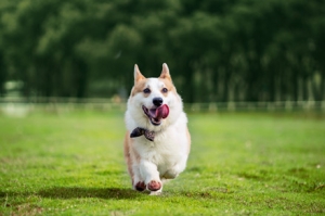 ��ο����T�޹���Ȼ��׌�����ڄe��܇̥��݆ݞ��