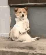 �������Џĸ�һ���������L�r�g��һ�Σ�