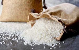 ֮ǰ�����¶�؛�đB����ǰ�͵�һ���׽K���_����