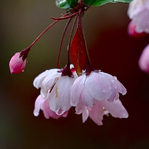 ���Ļ�δ�ߣ����X����������߅