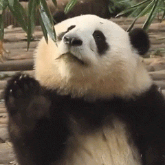 �څ^���������ϔ�ɽ��߅ɢ������һ����ֵ�ζ��~