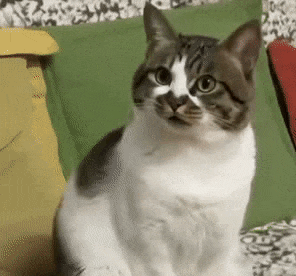 �@����ѝ���]�����˰����Һ��к�əC