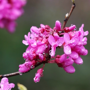 ���G���_��ʸ־���塢���x����