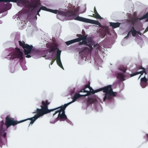 ���쵽�ˣ�����߀���h�᣿