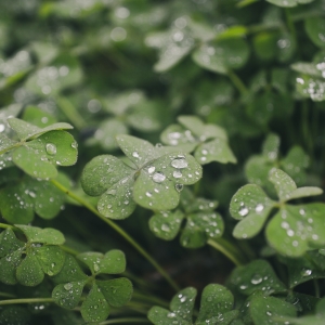 �����޶���֦�^�컨�c�~�g�Y¶