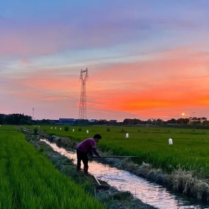 �����K�ô��ס�������@�ɼ��ϰ�