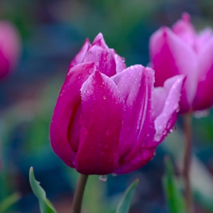 Ը���Ǻ����ۣ��M�����g����