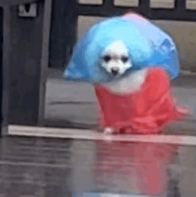 �l�������@�����ڼ��L��~�W(xu��)�����L����ɽ��