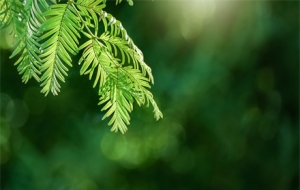 ����ֱ�_21��C������ꎽ�������