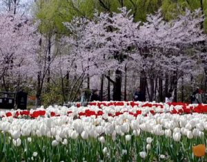 ���L(f��ng)�������������c�ѻ���������