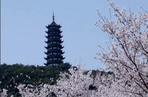 �ѻ�֮��������ʢ�_�r�Ľk��