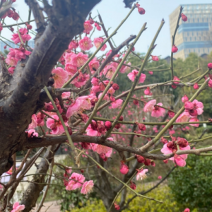 С�^һ�磬��ɫ�M�@