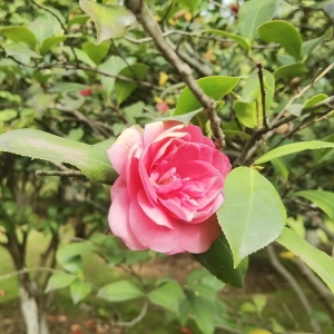 ���£������_����