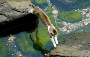 ����Ҫ�ú����� �����Ìӌӭh�@����