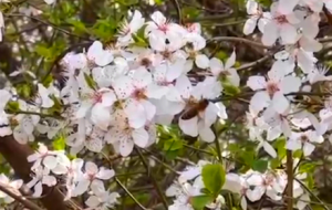 �֙C�S�ģ��۷�����L����