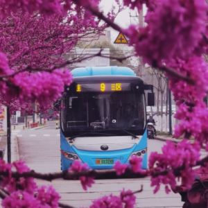 �L(f��ng)�мs�����`������q�q����ؓ(f��)