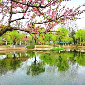 ���@�S�ģ��c��ҹ��p��