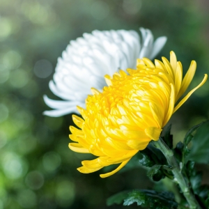 ����ǰ�Ļؑ�����ϡӛ���Ҡ�������Ĉ�(zh��)��