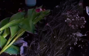 �Ի��������f������ ��������