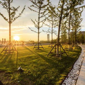 ��ĩ�\�ӹ��@һ�Σ��l�F��߅�����׺��]�з��o��