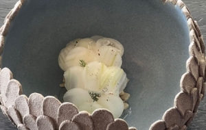 �ճ��S�ģ�ϡ��Ź֛]�^�]�X