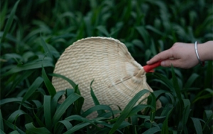 �c����L(f��ng)�� ����׷�L(f��ng)ȥ