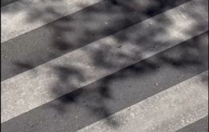 �L���������峿 ꖹ�͸�^���~�����c�c