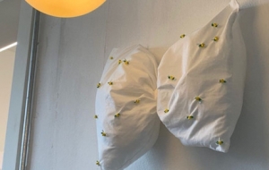 ɫ������~�����Y�h�@�܇�