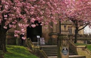 ���i�����޶��������� �����p��