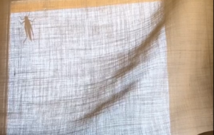 �ճ�ӛ�����S������