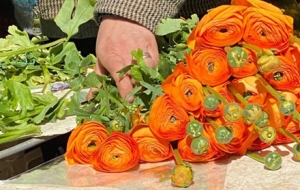 �|�|���⡢����r���Ǵ�����������(ji��)��̖(h��o)