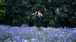 ��ǰһƬ���C(j��)��Ȼ ���ش�ز�ľ��֪