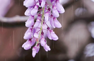 �ٻ��дεڣ��f���Rʢ�_