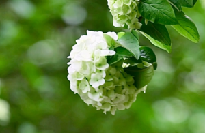 �o��һ���˵���g����ס���ĵ��L��